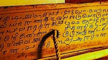 palm leaves reading online|palm lefe readi in india