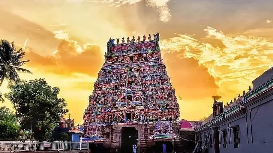 online nadi jodhidam|Nadi Astrology| Nadi Jodhidam| Nadi Josiyam| Real Nadi Astrology| Authentic Nadi Astrology| Palm Leaf Astrology Palm Leaf Reading Nadi Sasthra Nadi Astrology Predictions