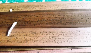 tamil nadi jodhidam-india best nadi astrology