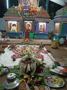 VAITHEESWAREN KOIL NADI JOSIYAM|siva yogi jodhidam